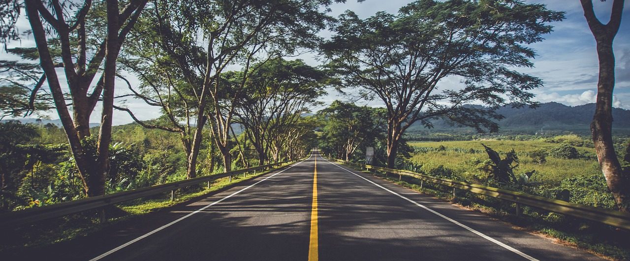 asphalt, street, trees-2178703.jpg